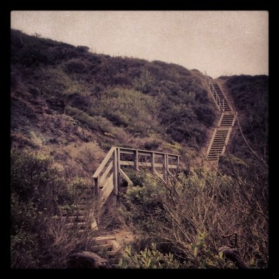 Presidio: Battieries to Bluffs Stairs2