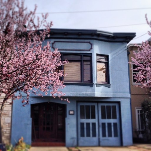 cherry blossoms against a blue house