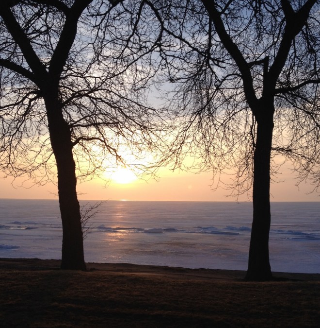 IMG_0088 (1001x1024)