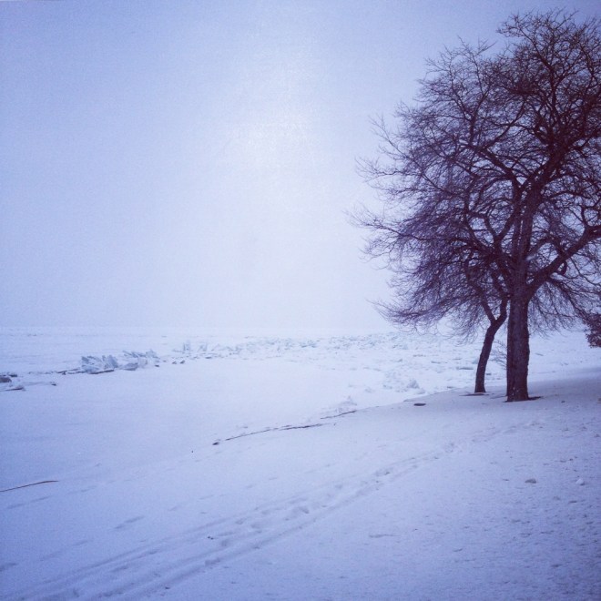 IMG_9871 (1024x1024)