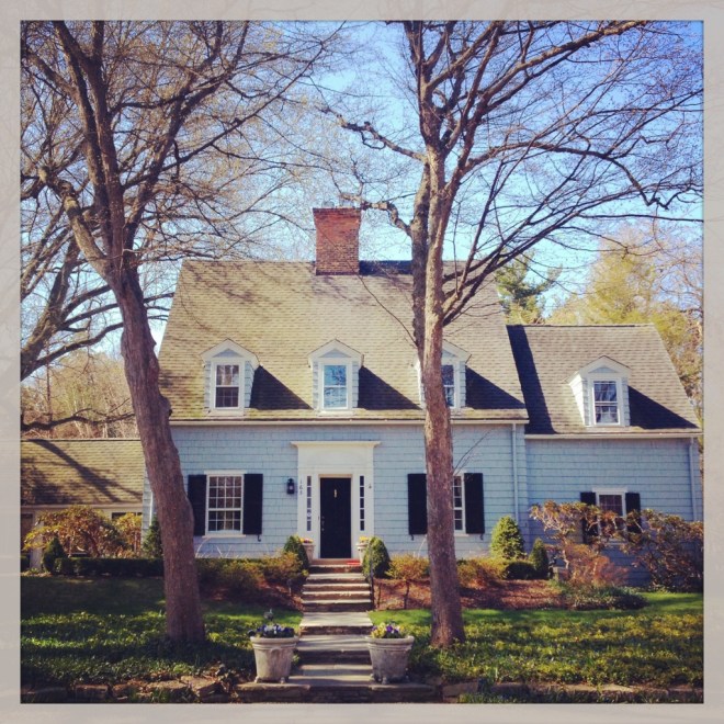 IMG_0457 (1024x1024)