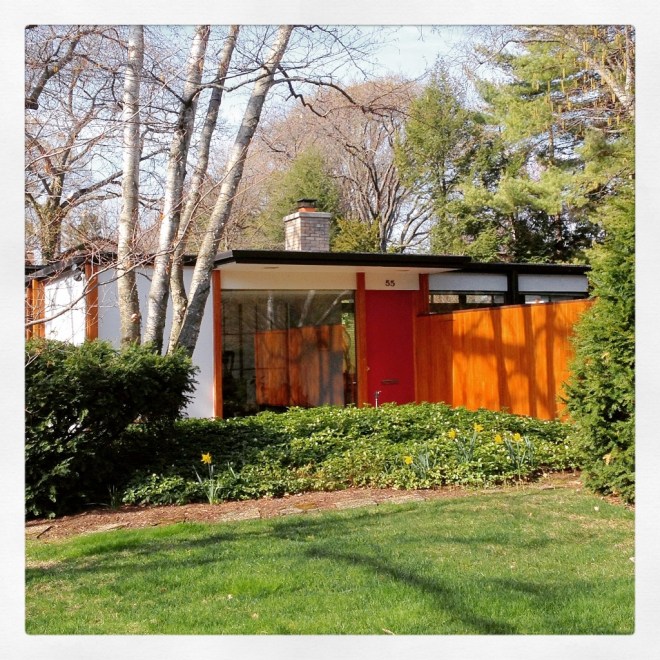 IMG_0490 (1024x1024)