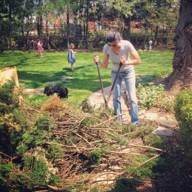 IMG_0561 (1024x1024)