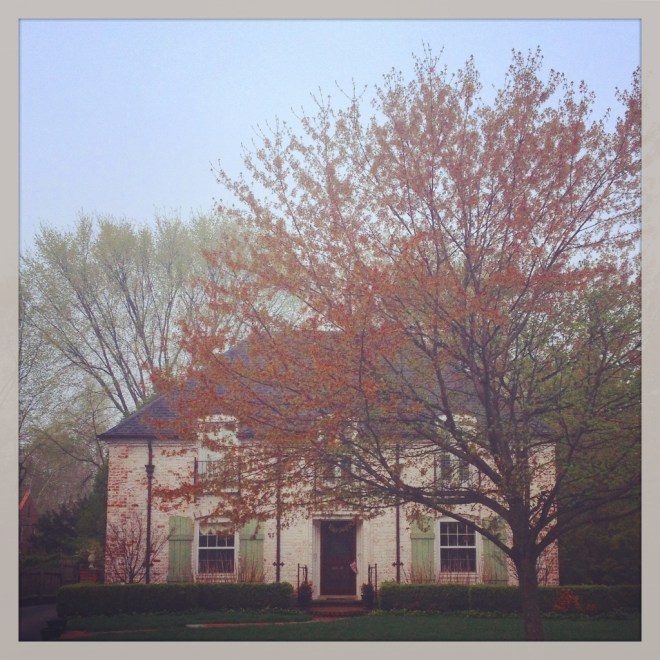 IMG_0595 (1024x1024)