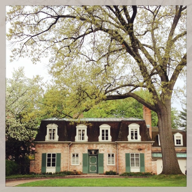 IMG_0689 (1024x1024)