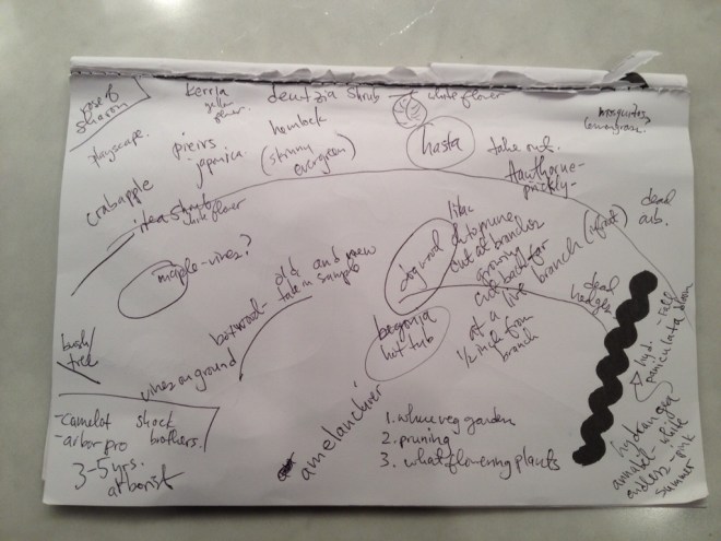 FullSizeRender (1024x768)