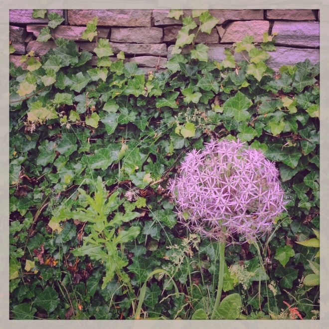 IMG_1255 (1024x1024)