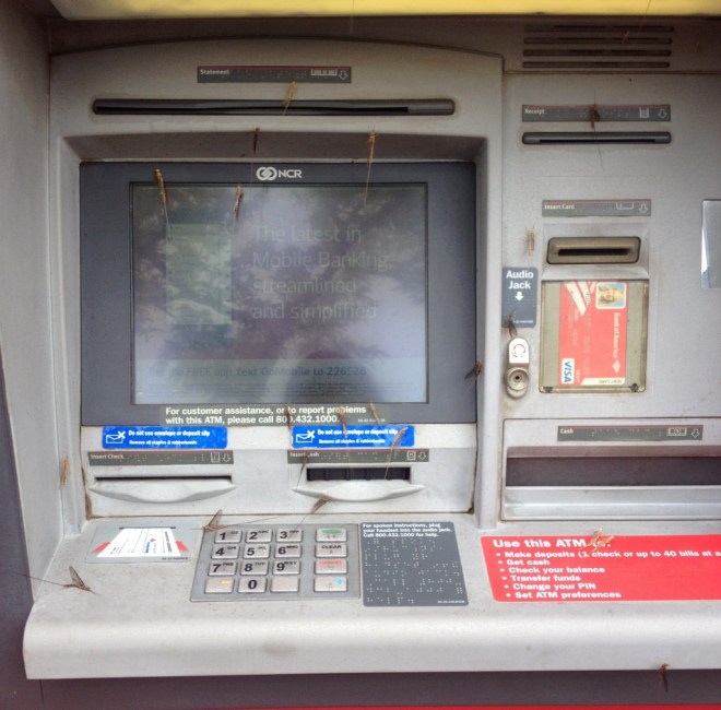 IMG_1256 (1024x1010)