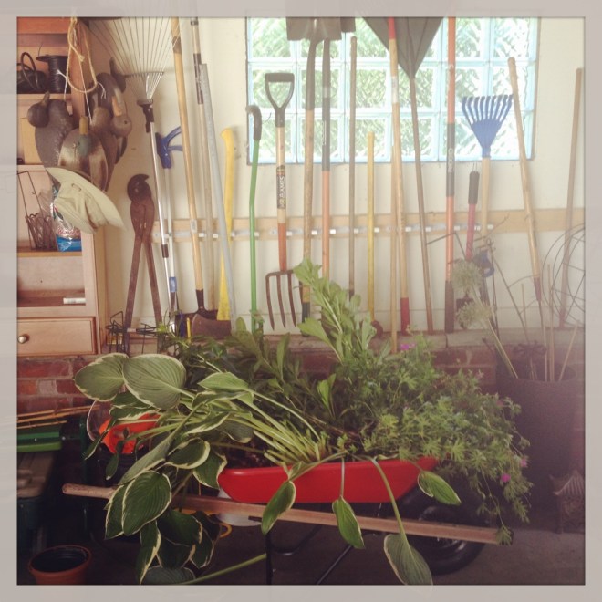 IMG_1295 (1024x1024)