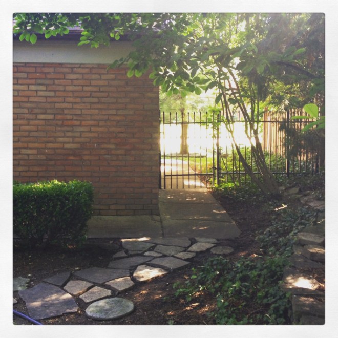 IMG_1603 (1024x1024)