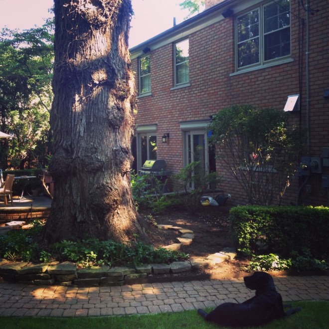 IMG_1605 (1024x1024)