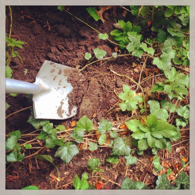 IMG_1676 (1024x1024)