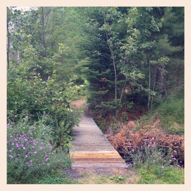 IMG_2381 (1024x1024)