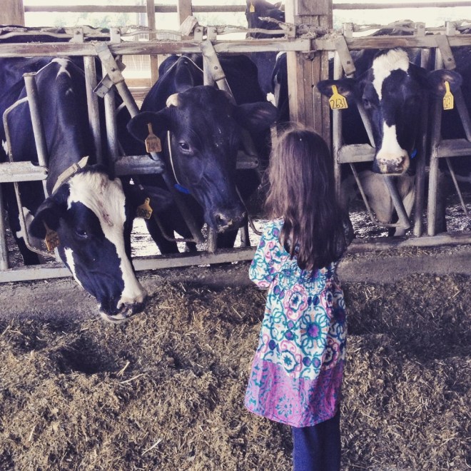 IMG_2527 (1024x1024)