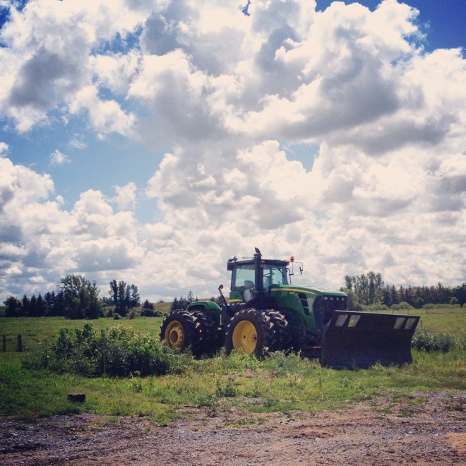 IMG_2548 (1024x1024)