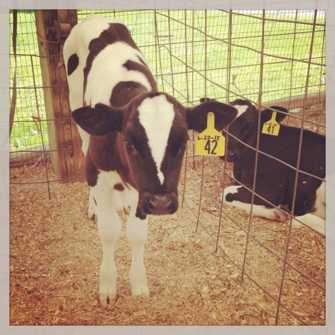 IMG_2553 (1024x1024)