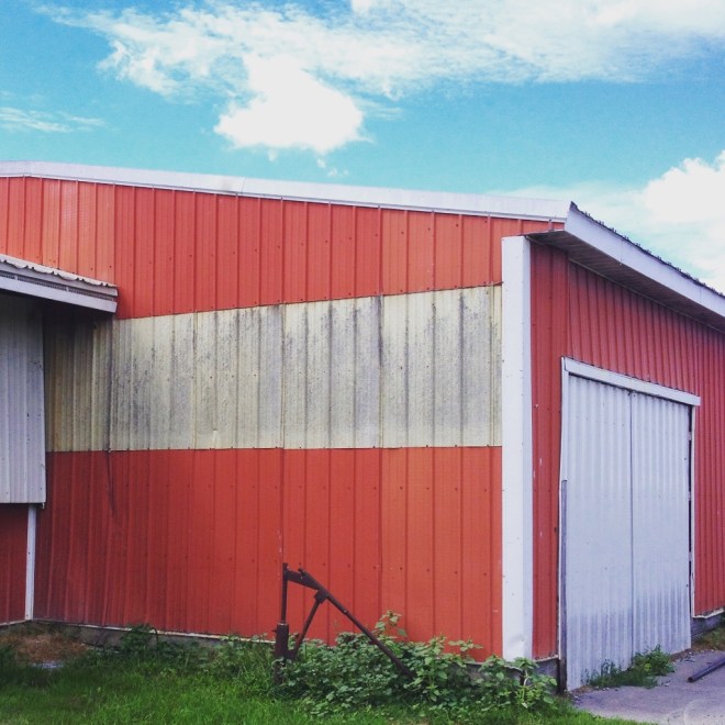 IMG_2556 (1024x1024)