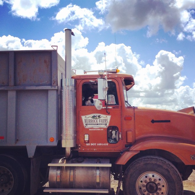 IMG_2557 (1024x1024)