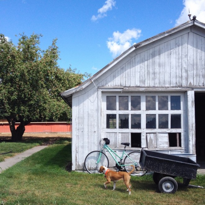 IMG_2570 (1024x1024)