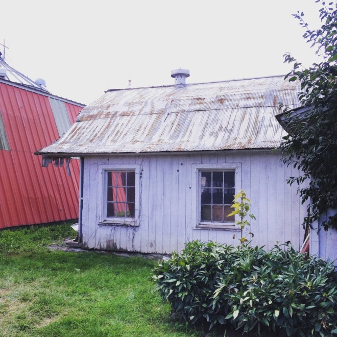 IMG_2583 (1024x1024)