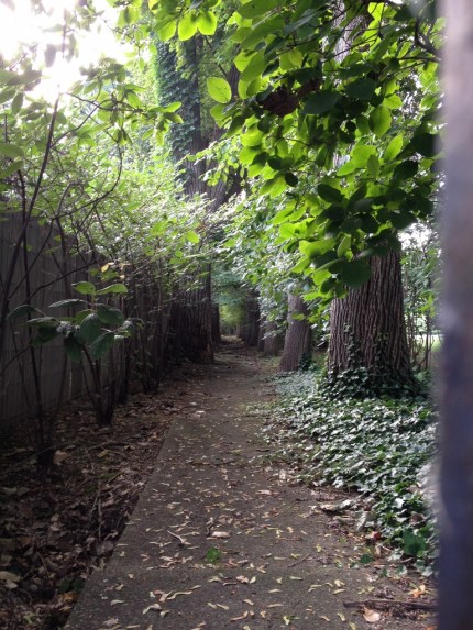 IMG_2656 havenotused (768x1024)