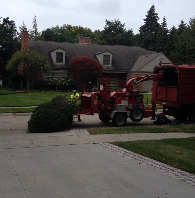 IMG_2935 (1012x1024)