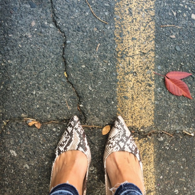 IMG_3211 (1024x1024)