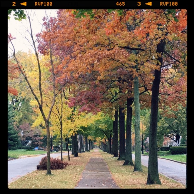 IMG_3287 (1024x1024)