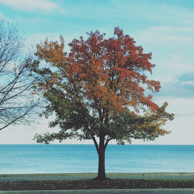 IMG_3476 (1024x1024)