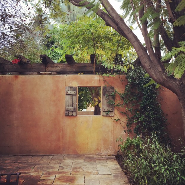 IMG_4216 (1024x1024)