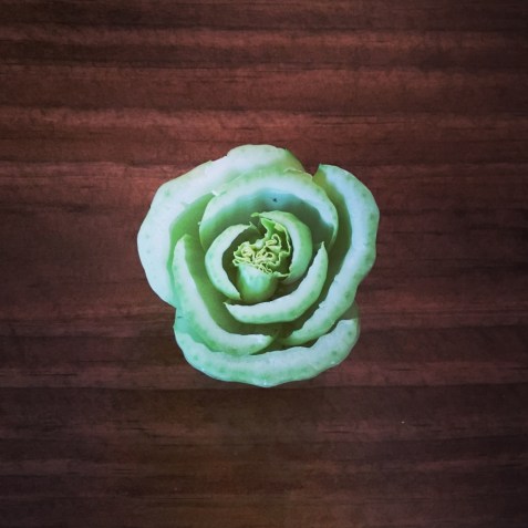 IMG_4446 (1024x1024)