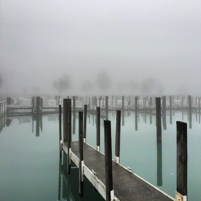 IMG_4729 (1024x1024)