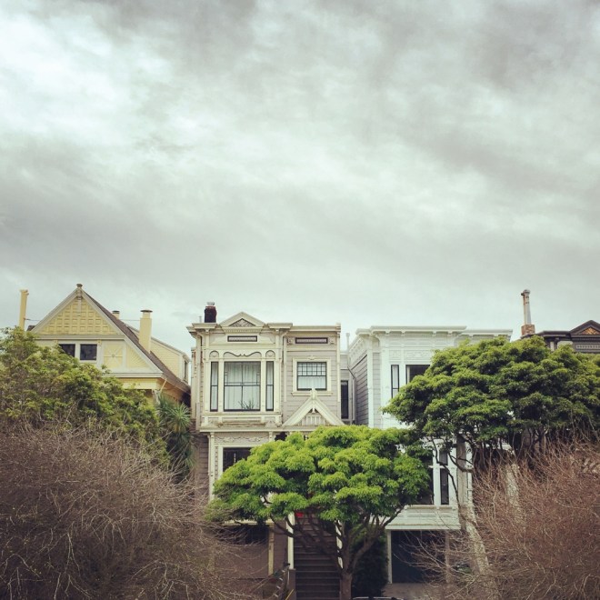 IMG_4878 (1024x1024)