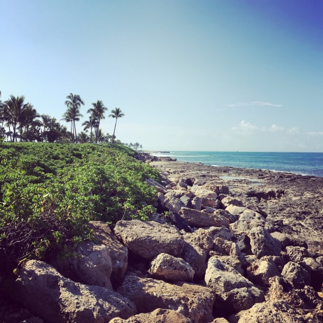 IMG_4914 (1024x1024)