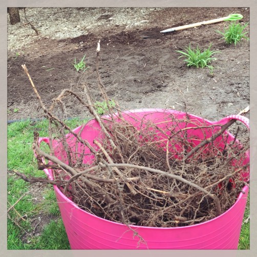 IMG_5441 (1024x1024)