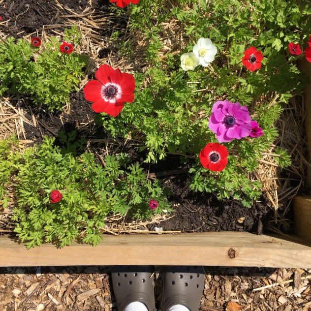 IMG_5751 (1024x1024)