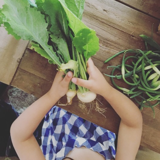 IMG_6251 (1024x1024)