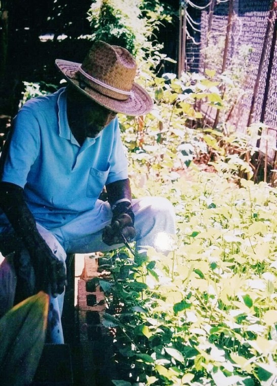 Processed with VSCO with c3 preset