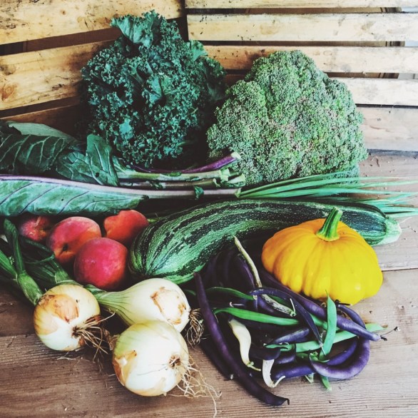 Processed with VSCO with f3 preset