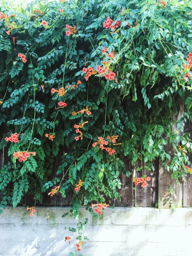 Processed with VSCO with m3 preset