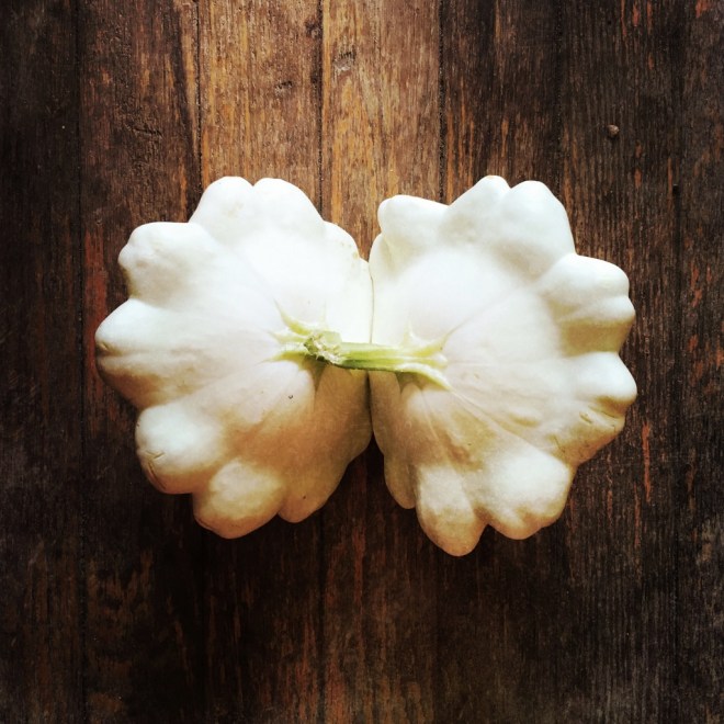 IMG_7794 (1024x1024)