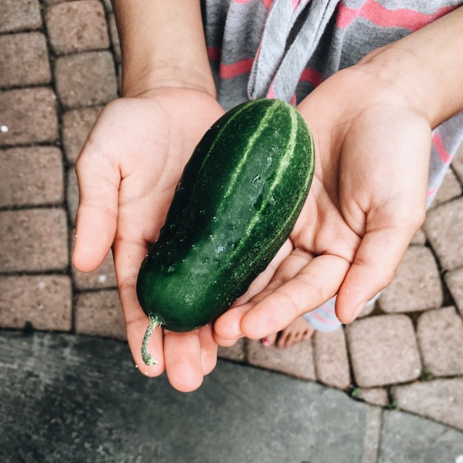 Processed with VSCO with a6 preset