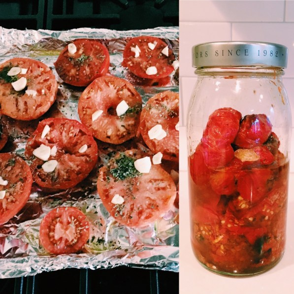 VCSB4056 (1024x1024)