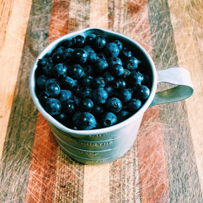 Processed with VSCO with c1 preset