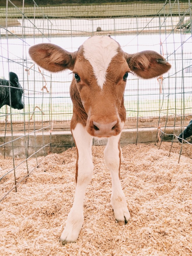 Processed with VSCO with c1 preset