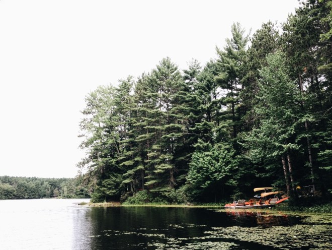 Processed with VSCO with a6 preset