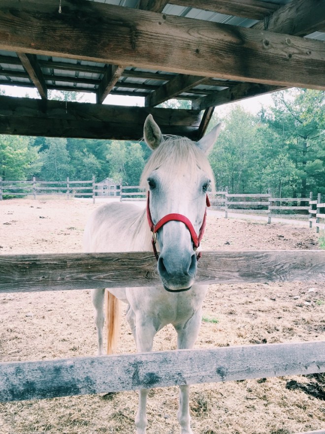 Processed with VSCO with c1 preset