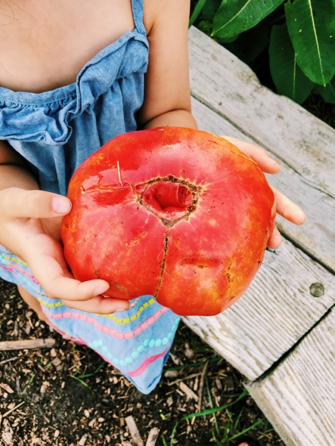 Processed with VSCO with c1 preset