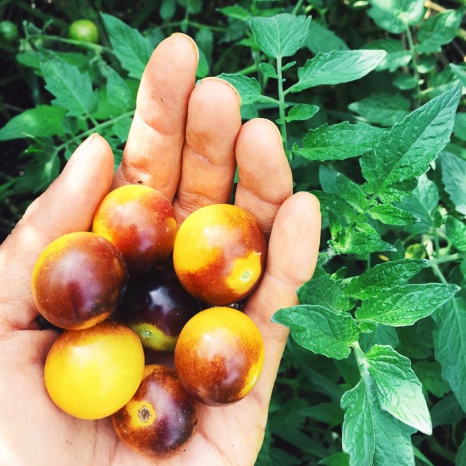 Processed with VSCO with c2 preset