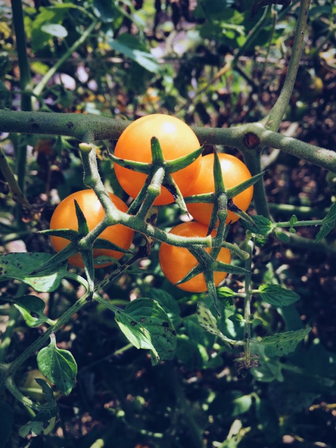 Processed with VSCO with a5 preset